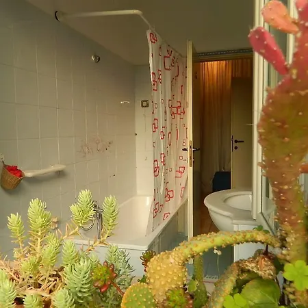 Bed And Roses Casa de hóspedes 3*